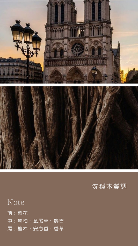 巴黎聖母院 Norte Dame De Paris